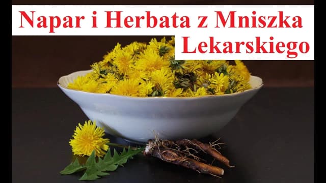 Jak zrobić napar z korzenia mniszka lekarskiego i cieszyć się zdrowiem